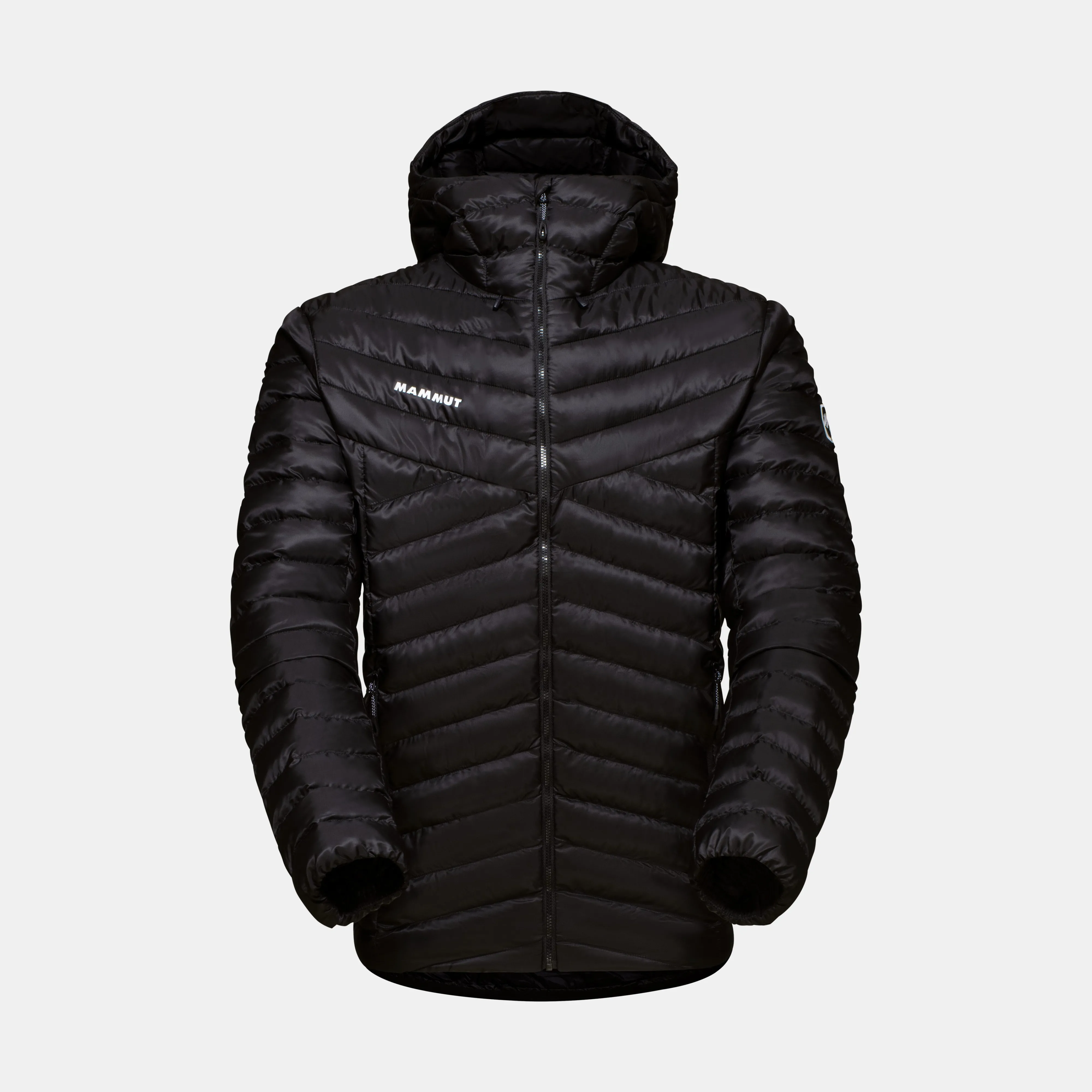 Mammut Albula IN Hooded Jacket Men Black Shop