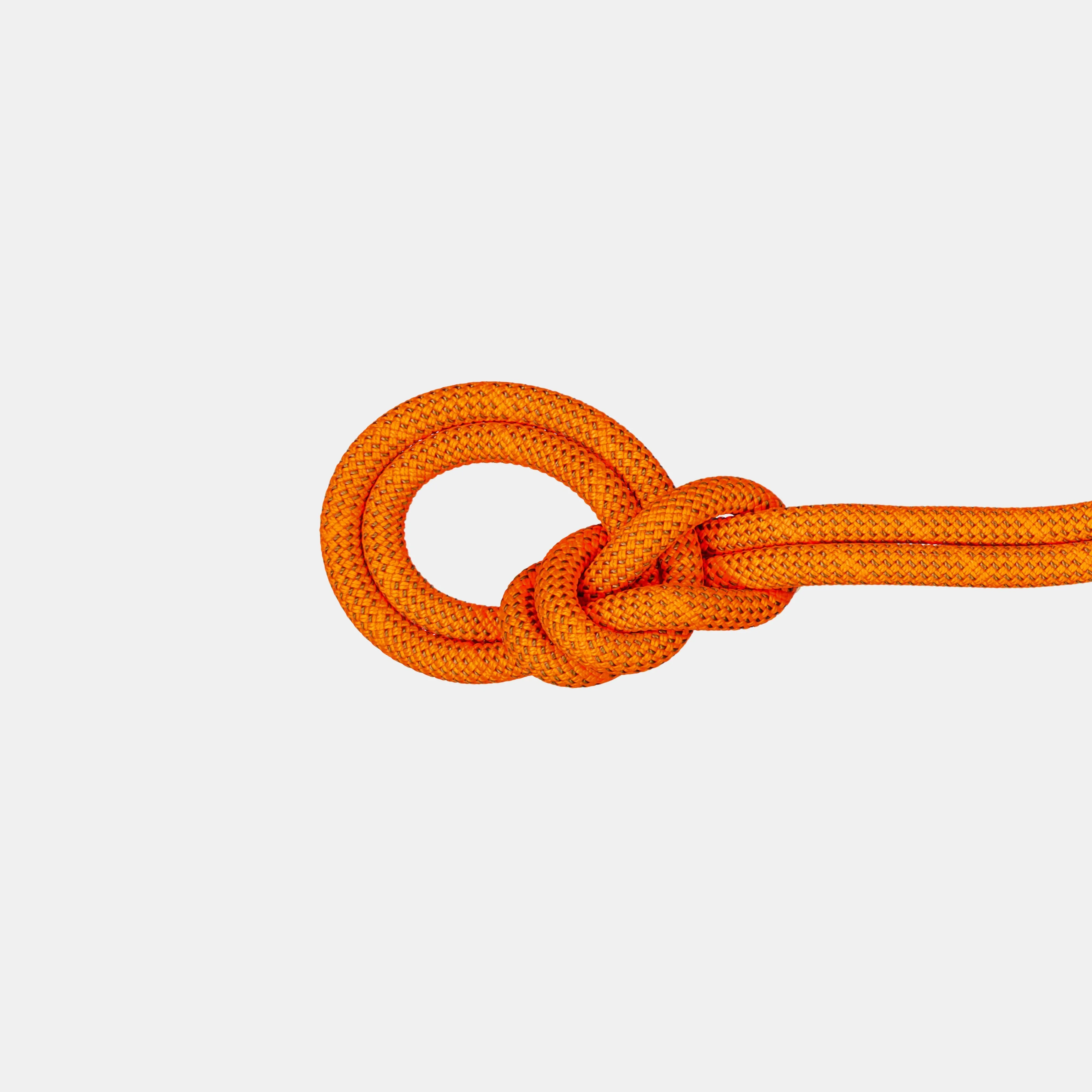 Mammut 9.8 Crag Dry Rope DryStandard,safetyorange-boa Best