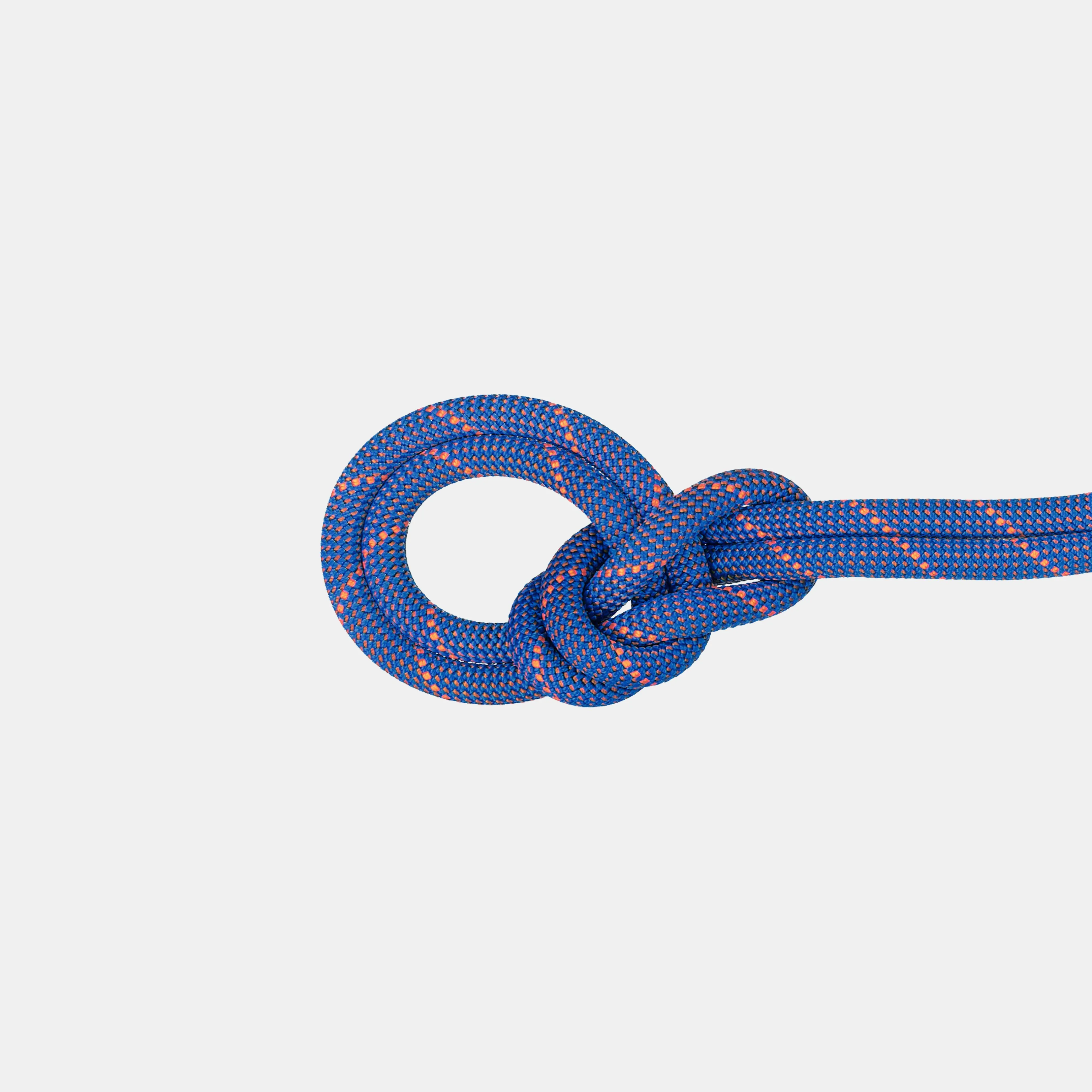 Mammut 9.0 Crag Sender Dry Rope DryStandard,ice-sunrise Cheap