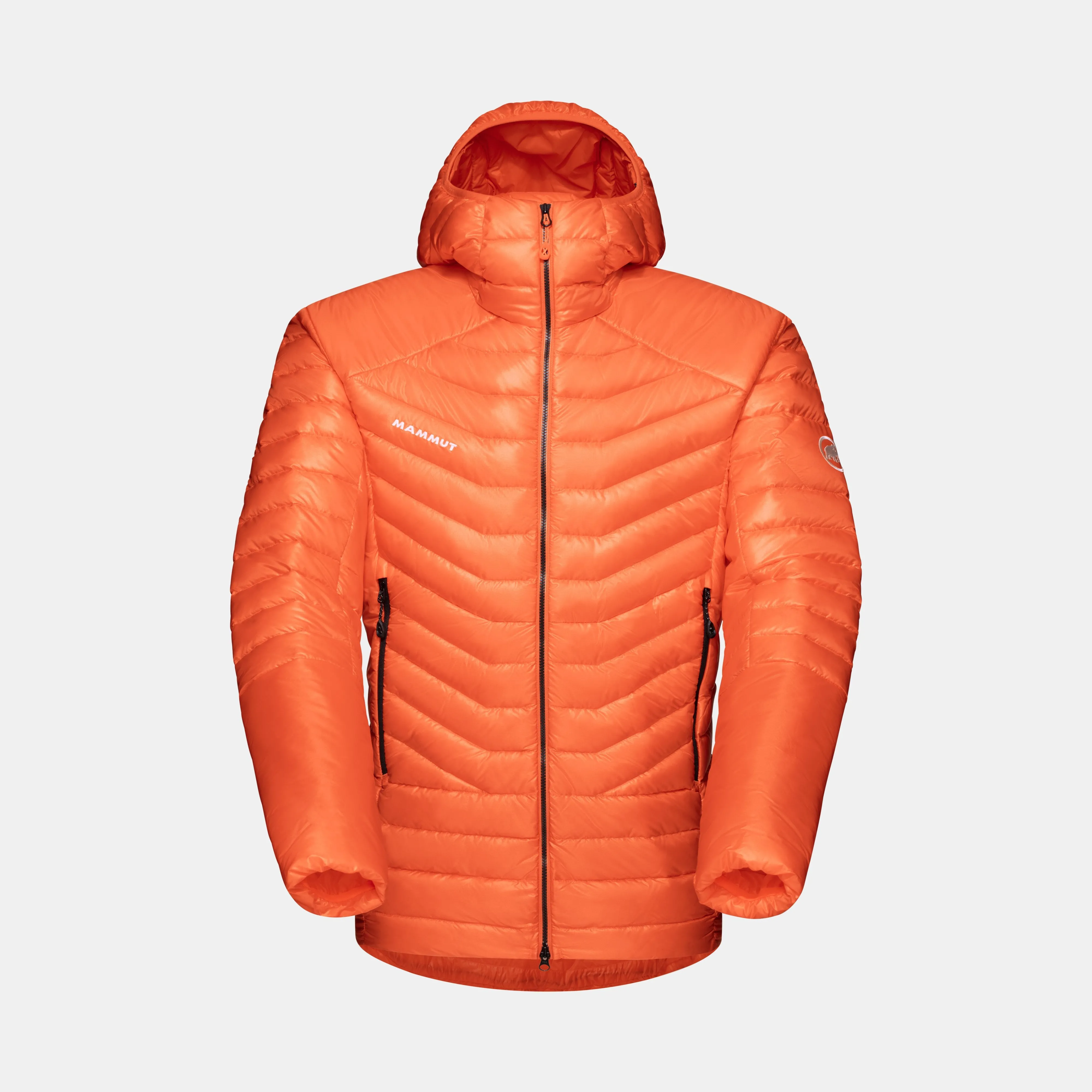 Mammut Eigerjoch Advanced IN Hooded Jacket Men Arumita Discount