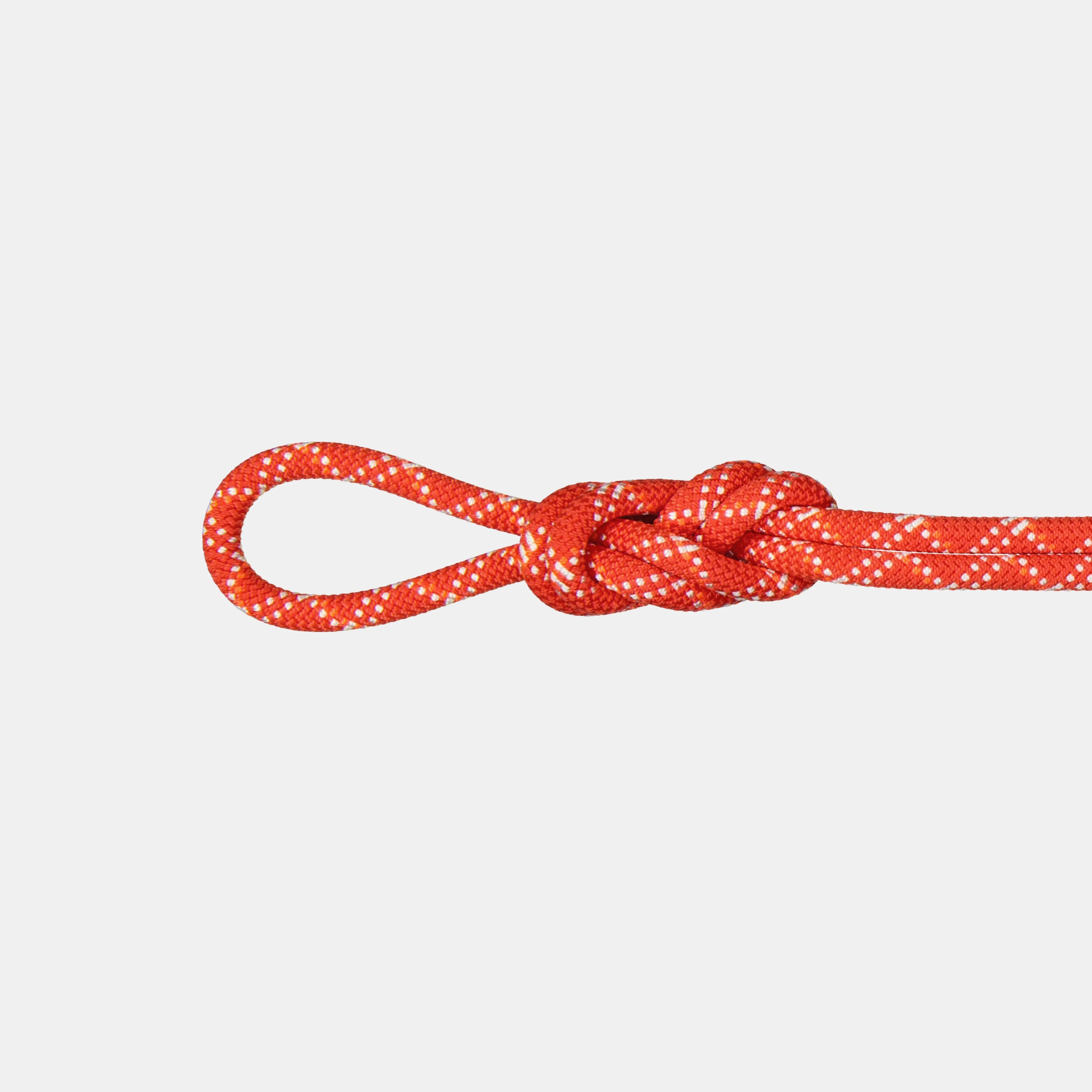 Mammut 9.5 Gym Classic Rope ClassicStandard,raspberry-white Online