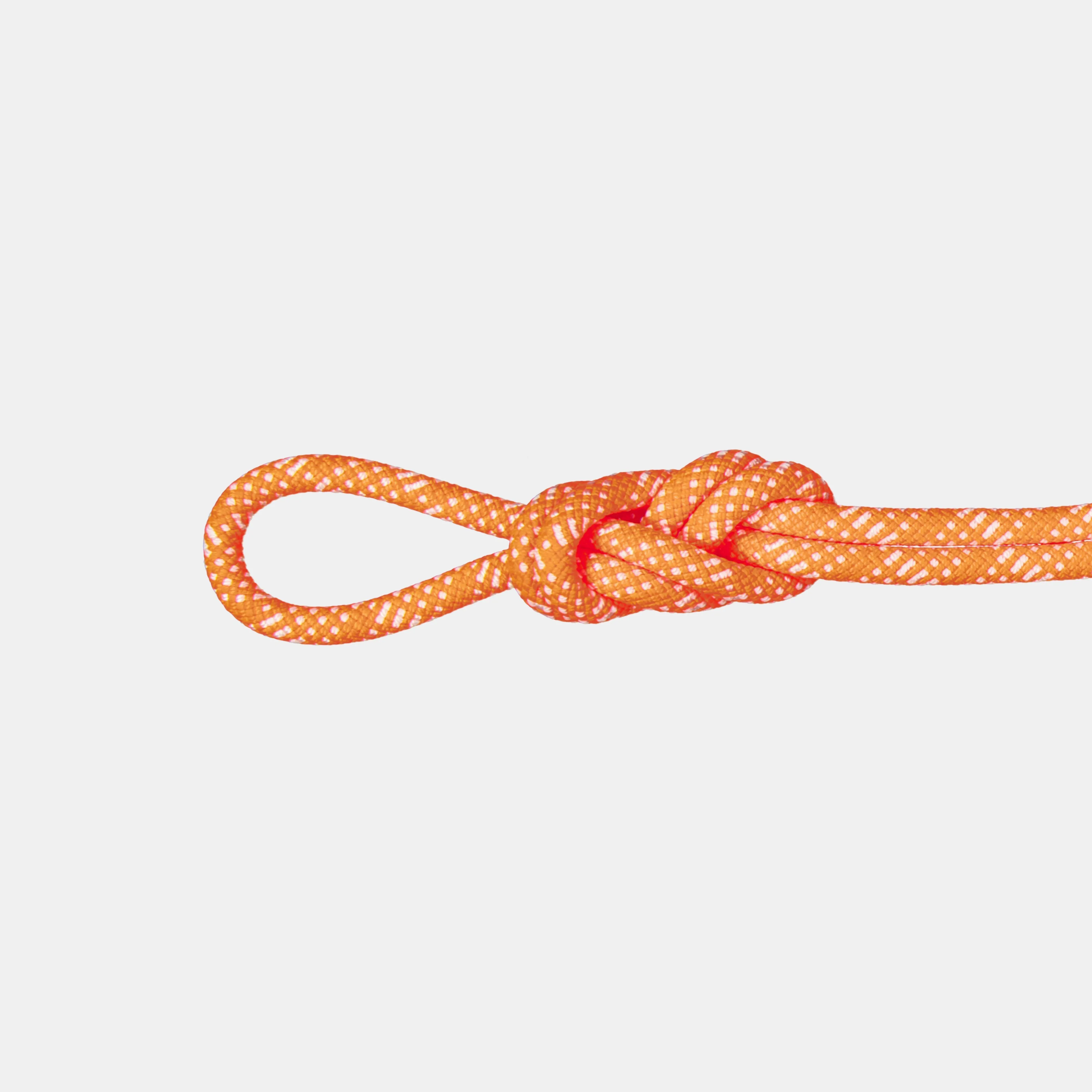 Mammut 10.1 Gym Station Classic Rope ClassicStandard,safetyorange-white New