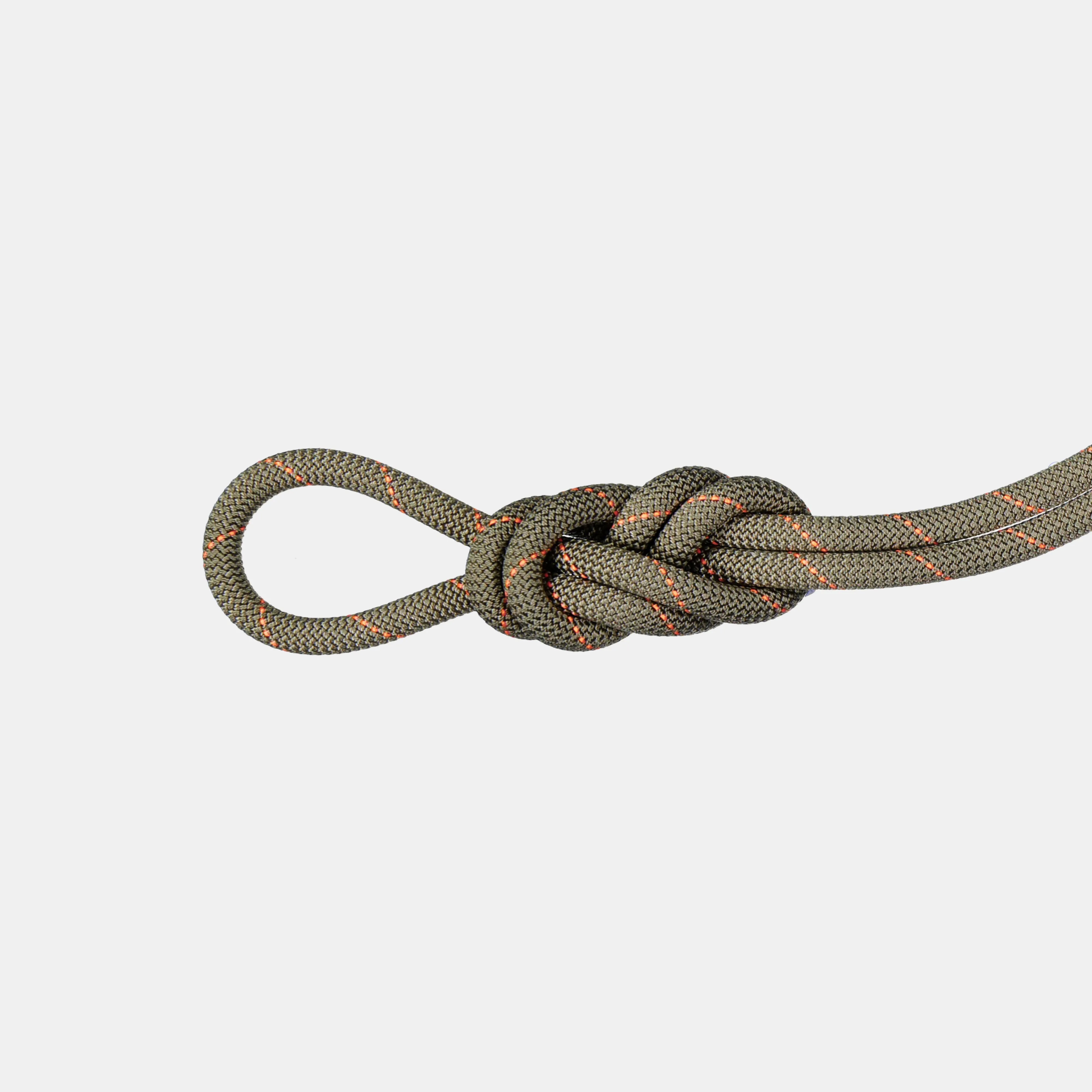 Mammut 9.9 Gym Workhorse Classic Rope ClassicStandard,boa New