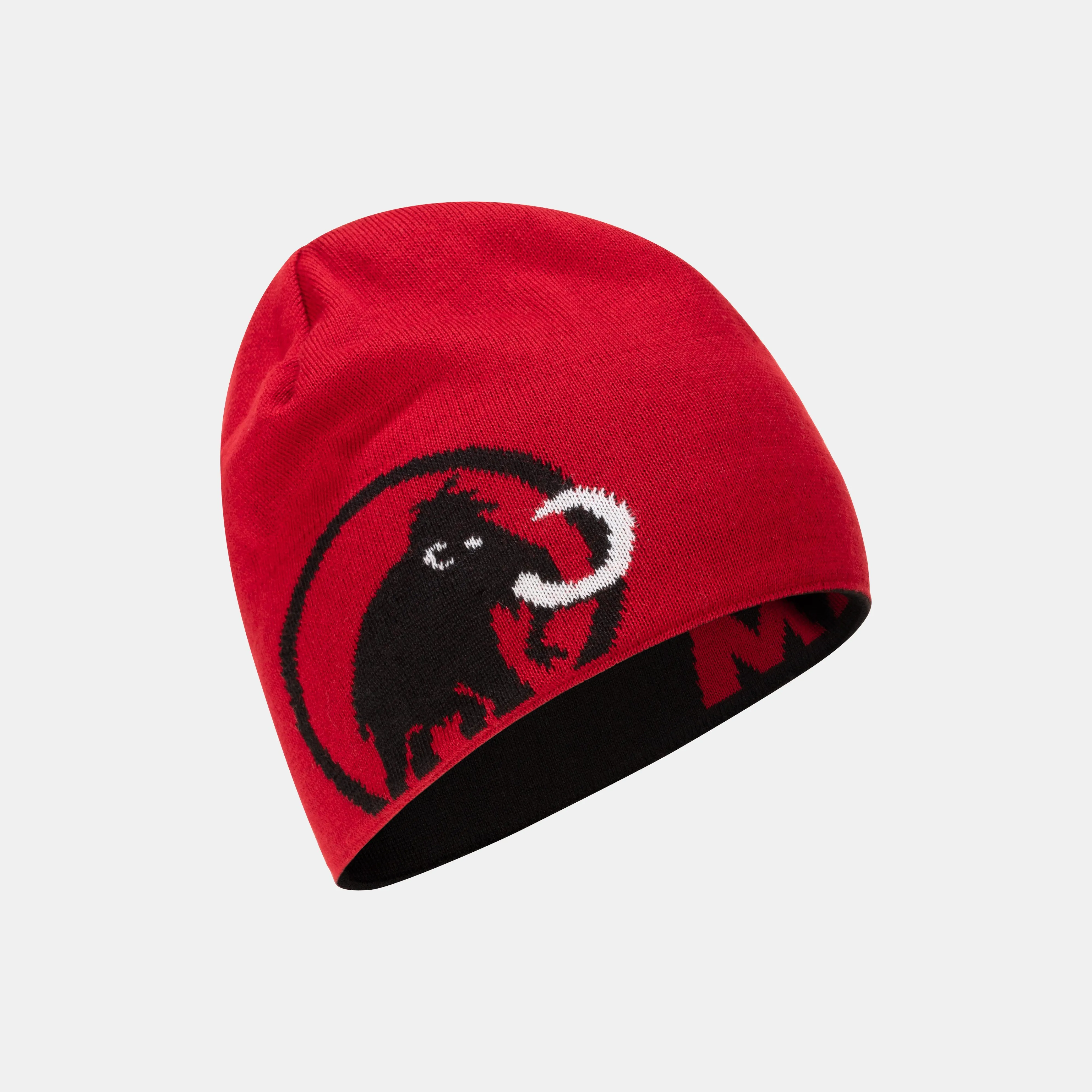 Mammut Logo Beanie Black Cheap