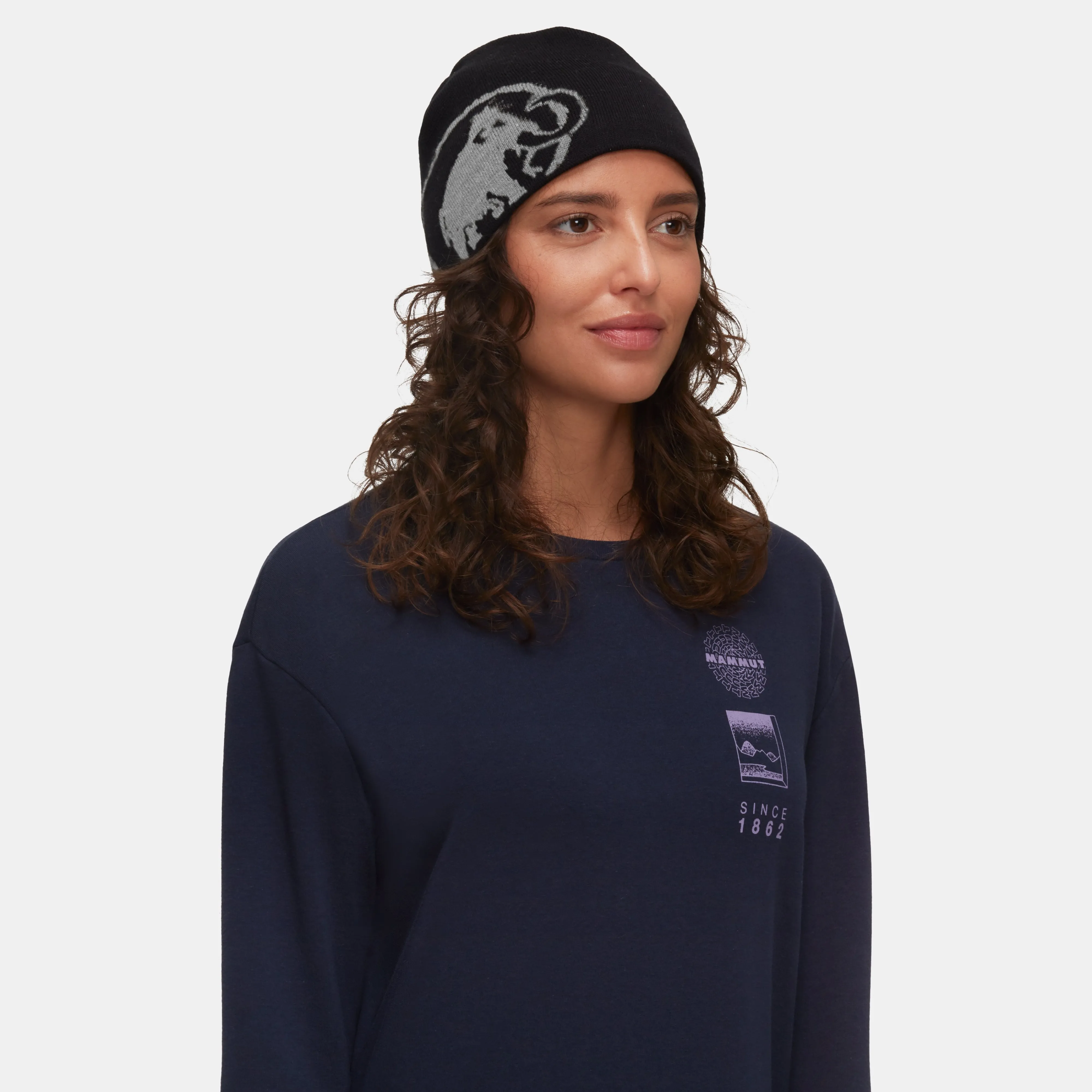 Mammut Tweak Beanie Black-steel Hot