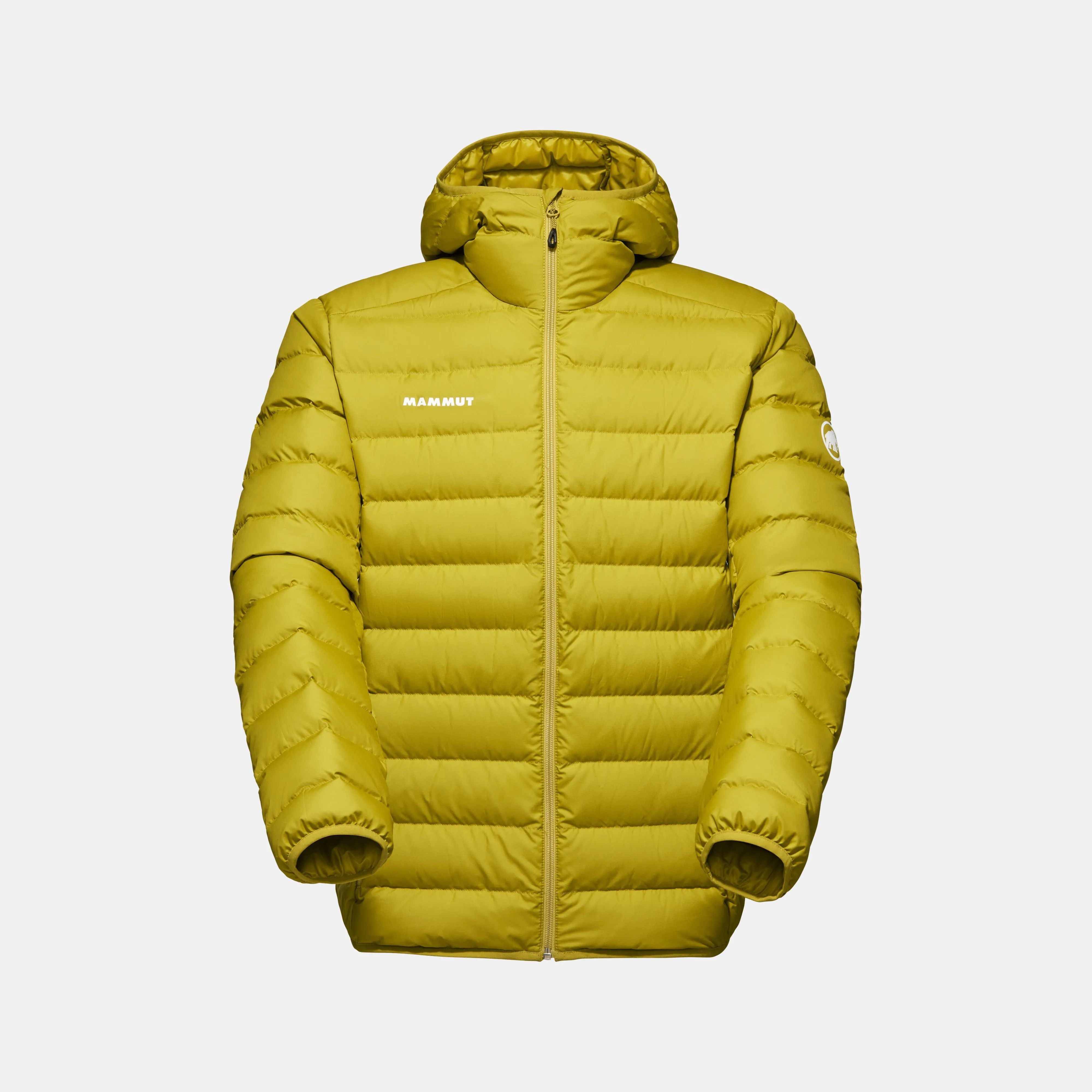 Mammut Waymarker IN Hooded Jacket Men Aura Best