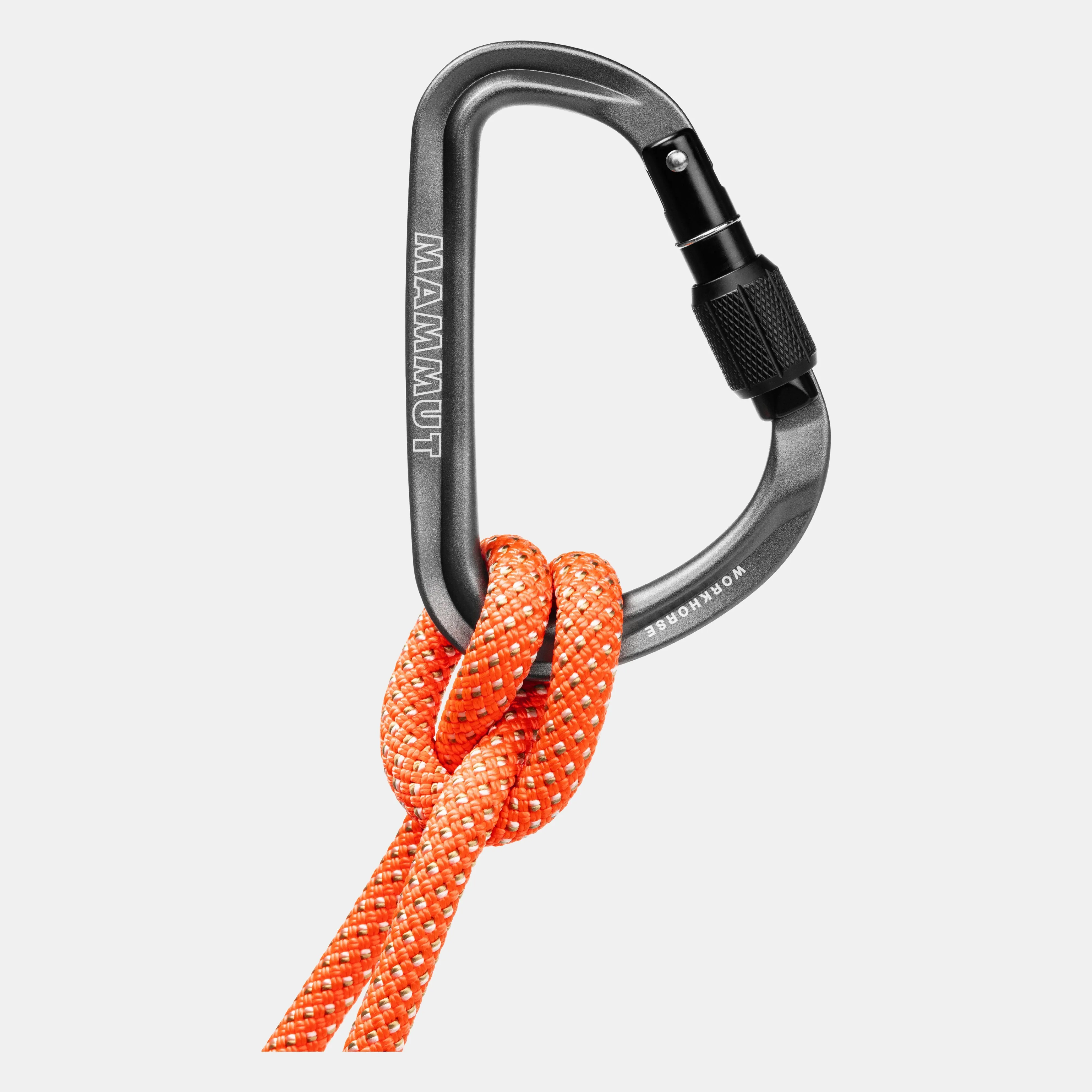 Mammut Workhorse HMS Screwgate Carabiner Grey Online